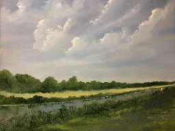 Ein Graben in Friesland